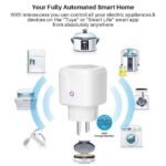 Prise Smart Wifi 16A fonctionne avec Alexa Google Assistant, SmartThings